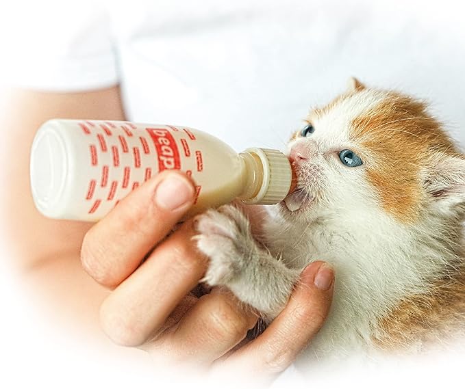 Beaphar Lactol Kitten Milk Powder (0.55lbs) (May Vary)
