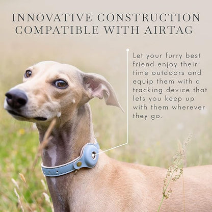 NINA WOOF Cupertino Dog Collars, Harnesses & Leashes Made from Vegan Leather with Dog Tracker Device Holder Adjustable Dog Collar (Extra Small, Blue)
