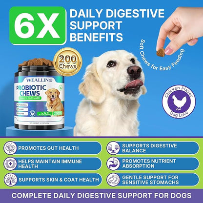 200 PCS Probiotics for Dogs - Dog Probiotic Chews for Gut Health, Digestive Support & Itchy Skin Relief Pet Diarrhea Gas Treatment - Probiotics, Digestive Enzymes, Prebiotics, Pumpkin