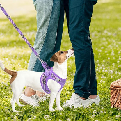 PUPTECK Adjustable Dog Harness Collar and Leash Set Step in No Pull Pet Harness for Small Medium Dogs Puppy and Cats Outdoor Walking Running, Soft Mesh Padded Reflective Vest Harnesses, Purple XS