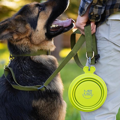 Messy Mutts Silicone Collapsible Bowl | Pet Travel Necessity | Portable Water or Food Dish | Pop Up Watering Bowl | Camping, Hiking, Walking Accessory | Large, 3 Cups | Watermelon