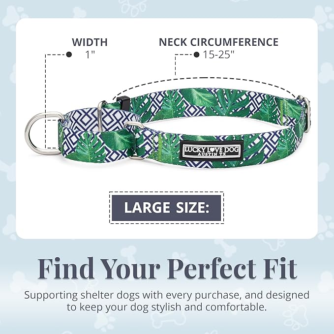 Lucky Love Dog Martingale Collar, Premium No Slip Martingale Collar for Large Boy Dogs, Great for Whippets, Greyhounds, and More (Large, Blue Laguna)