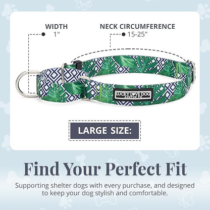 Lucky Love Dog Martingale Collar, Premium No Slip Martingale Collar for Large Boy Dogs, Great for Whippets, Greyhounds, and More (Large, Blue Laguna)