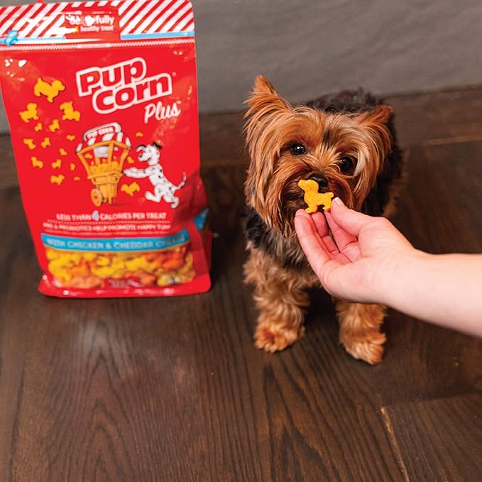 Pup Corn Plus - Puffed Dog Treats with Prebiotics and Probiotics - Chicken & Cheddar Cheese (14.5oz) - Made in USA