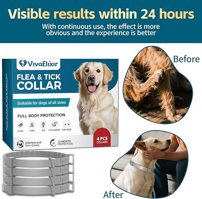 Flea and Tick Collar for Dogs – 12-Month Protection – Adjustable & Waterproof – Safe, Long-Lasting Repellent for Fleas, Ticks, Lice & Mosquitoes – Fits Small, Medium & Large Dogs 4pack