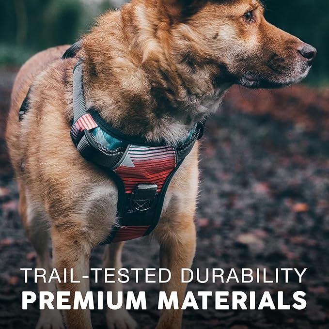 Embark Adventure Large Dog Harness – No-Pull, Reflective Trim, Military-Grade Nylon, Front Clip with Gel-Lined Handle