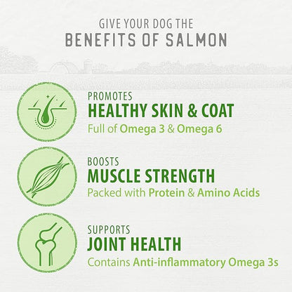 Caledon Farms Freeze Dried Dog Treats - Salmon 3.2OZ