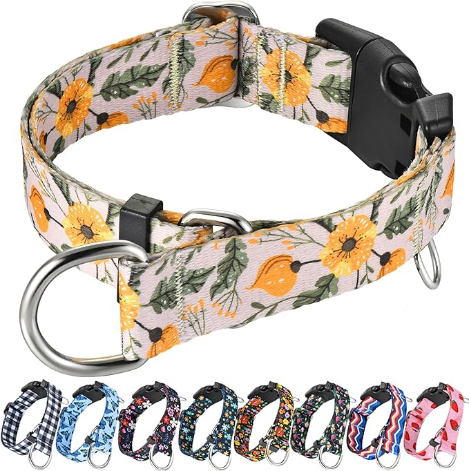 Martingale Collar for Dogs with Buckle Adjustable Nylon Slip No Pull Training Dog Collars (Beige Floral, Large)