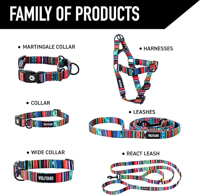 Wolfgang Heavy Duty Dog Leash, Pull-Tested to Over 800 lbs for Walking & Training, Quetzal Print, Small