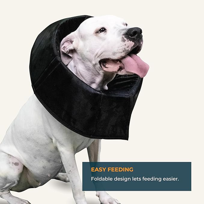 Dog Cone Collar Adjustable After Surgery, Protective Soft Dog Cone, Elizabethan Dogs Collar (Black, S [Neck Girth: 11.4"-14.2"])