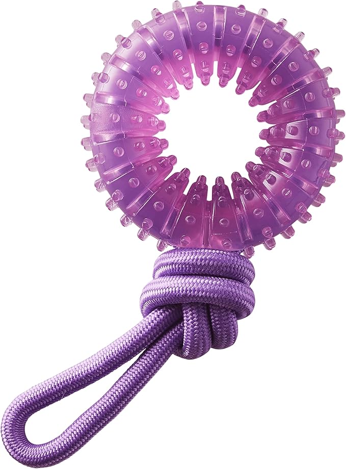 2-in-1 Dental Dog Chew Wheel Ring & Rope Tug Toy for Teething Puppies & Dogs, Mint-Scented & Teeth-Cleaning, 9-Inch, Purple