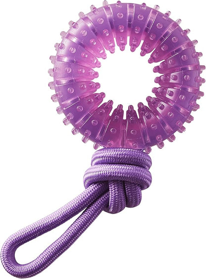 2-in-1 Dental Dog Chew Wheel Ring & Rope Tug Toy for Teething Puppies & Dogs, Mint-Scented & Teeth-Cleaning, 9-Inch, Purple