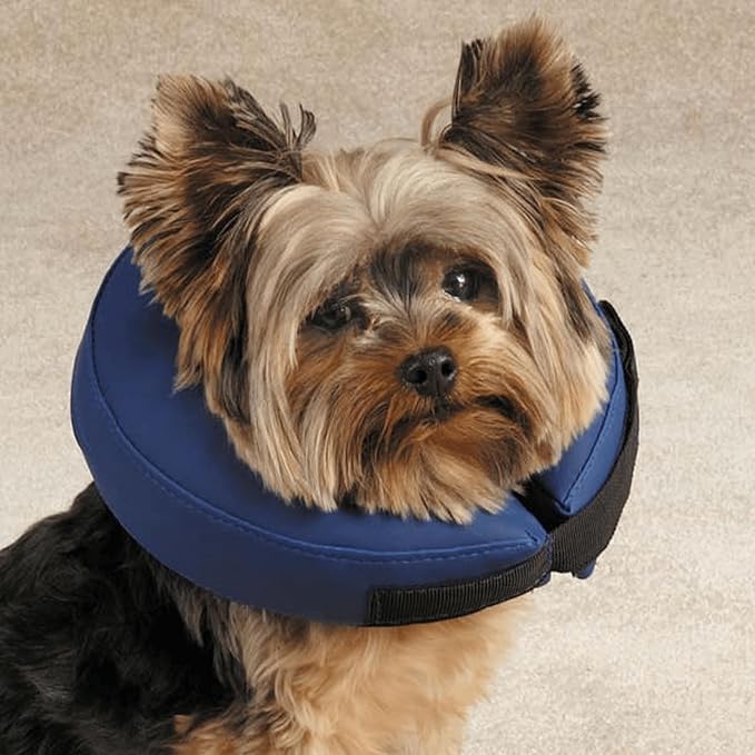 Total Pet Health Inflatable Collar Xs Blu
