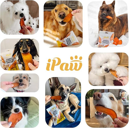 iPaw Sweet Potato Chews, Single Ingredient Dog Treats for Vegetarian, All Natural Human Grade Puppy Chew, Rawhide Alternative, Hypoallergenic, Easy to Digest, 3 Packs