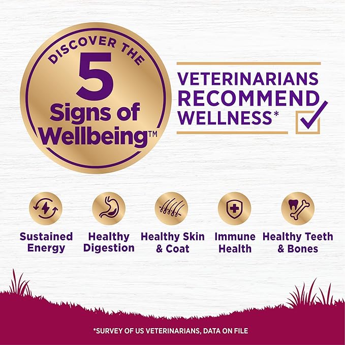 Wellness Complete Health Small Breed Adult Dry Dog Food, Wholesome Grain Kibble, Natural, Turkey and Oatmeal Recipe, 4 lb Bag