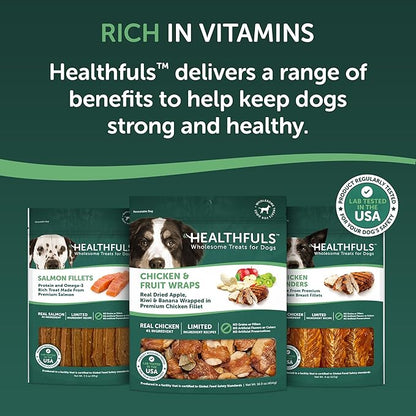 Healthfuls Chicken Wrapped Fruit Dog Treats, 16oz