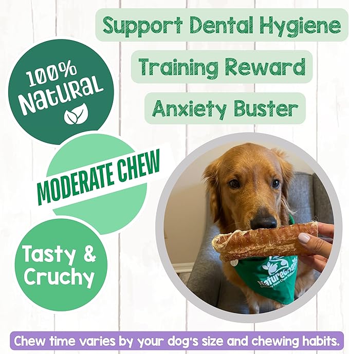 Nature Gnaws Beef Trachea Chews for Dogs 6" (6 Count) - Long Lasting Natural Crunchy Dog Chew Bones - Rawhide Free