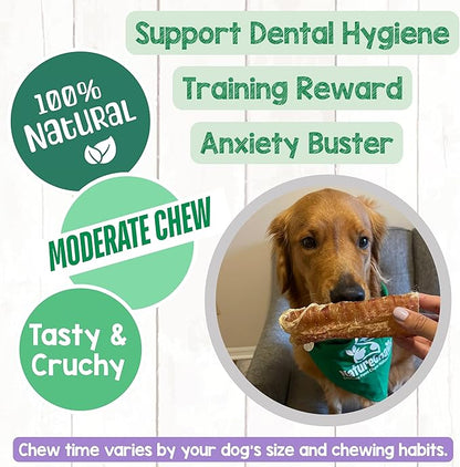 Nature Gnaws Beef Trachea Chews for Dogs 6" (6 Count) - Long Lasting Natural Crunchy Dog Chew Bones - Rawhide Free