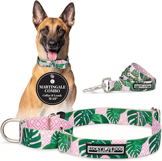 Lucky Love Dog Martingale Dog Collar & Leash - Adjustable, No-Slip, Durable, Comfortable, Soft Webbing, & Stylish Patterned Collar & Leash Set for Male and Female Dogs - Laguna Mart Combo, Large