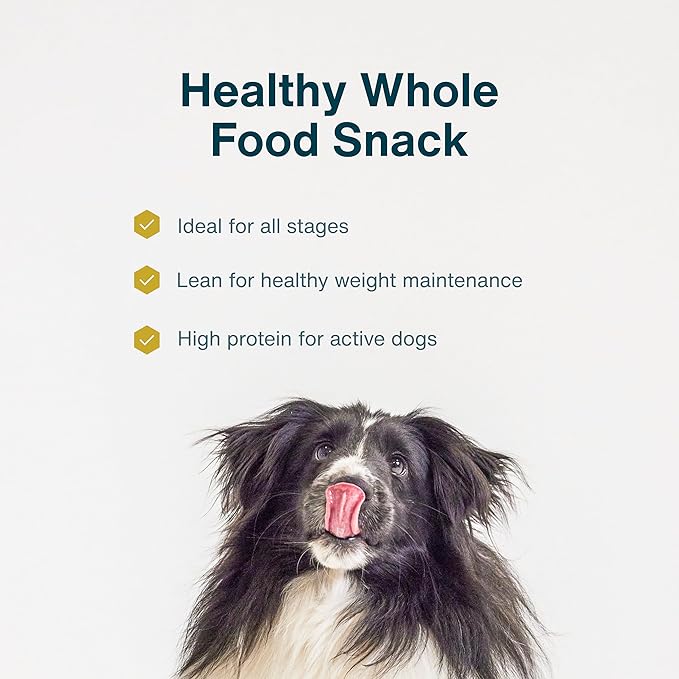 JustFoodForDogs Single Ingredient Healthy Dog Treats and Dog Snacks, Jerky Treats, Human Grade, Preservative and Grain Free, Rawhide Free Chews, Low Calorie Treat - Beef Brisket, 5 oz