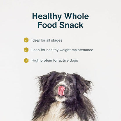 JustFoodForDogs Single Ingredient Healthy Dog Treats and Dog Snacks, Jerky Treats, Human Grade, Preservative and Grain Free, Rawhide Free Chews, Low Calorie Treat - Beef Brisket, 5 oz