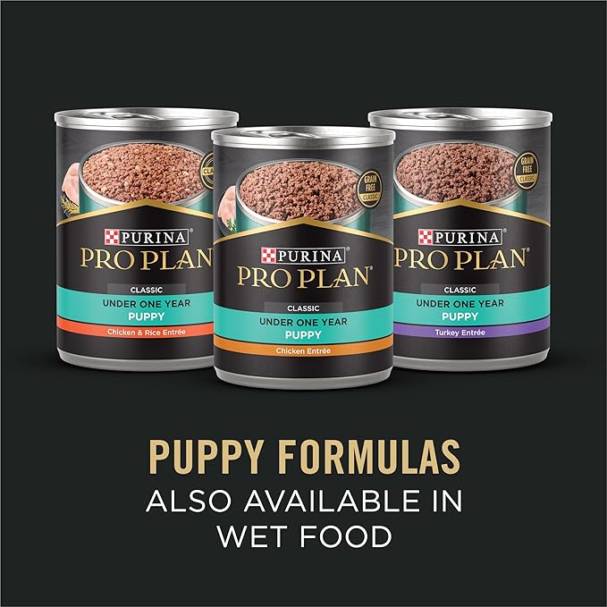 Purina Pro Plan Sensitive Skin and Stomach Dog Food Puppy Salmon and Rice Formula - 4 lb. Bag