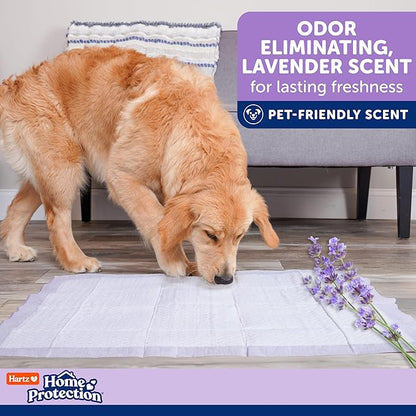 Hartz Home Protection Super Absorbent Odor Eliminating Lavender Scented No Leak Dog Pads, 3XL 14 Count