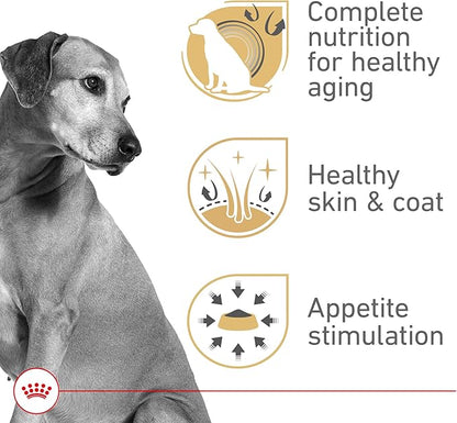 Royal Canin Canine Health Nutrition Mature Mature In Gel Dog Food, 13.5 oz (Pack of 12)