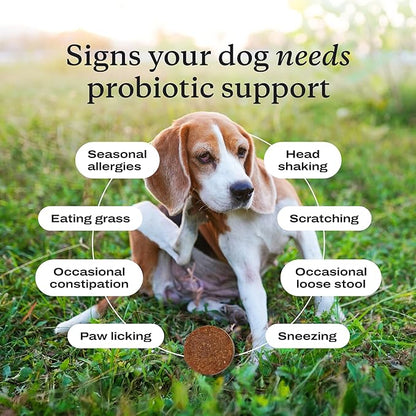 PetLab Co. Probiotics for Dogs, Support Gut Health, Occasional Diarrhea, Digestive Health & Seasonal Allergies - Salmon Flavor - 30 Soft Chews - Pack of 3