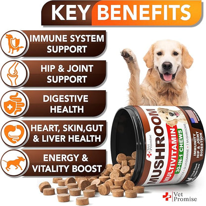 (2 Pack) Turkey Tail Mushroom for Dogs - 340 Chews - Mushroom Supplement for Dogs - Lions Mane - Reishi - Immunity Support Multivitamin Vitamins - Joint Health - Energy - Gut - Skin - Made in USA