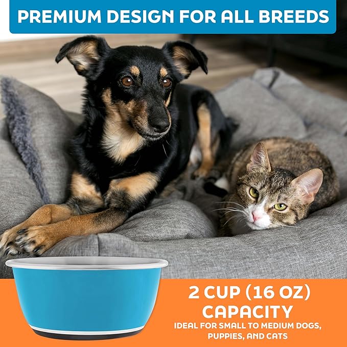 Master Pet Supply Stainless Steel Dog Bowls Set of 2 (16 Oz Each) with Non-Slip Rubber Base - True Blue - Basic Dog Food Bowl Water & Food Bowls for Small Medium Large Dogs & Cats, Metal Dish
