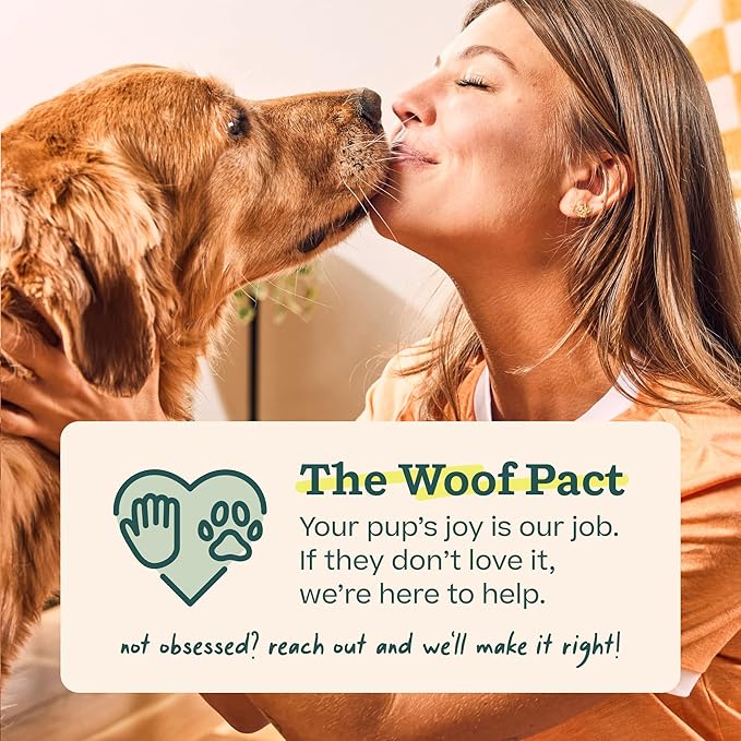 WOOF Starter Pack - Interactive Dog Ball Toy for Boredom - Dog Treat Molds Silicone - Chicken-Flavored Healthy Treats for Dogs - Pupsicle Doggy Enrichment Toy - for Large Pups - 25-75 lbs