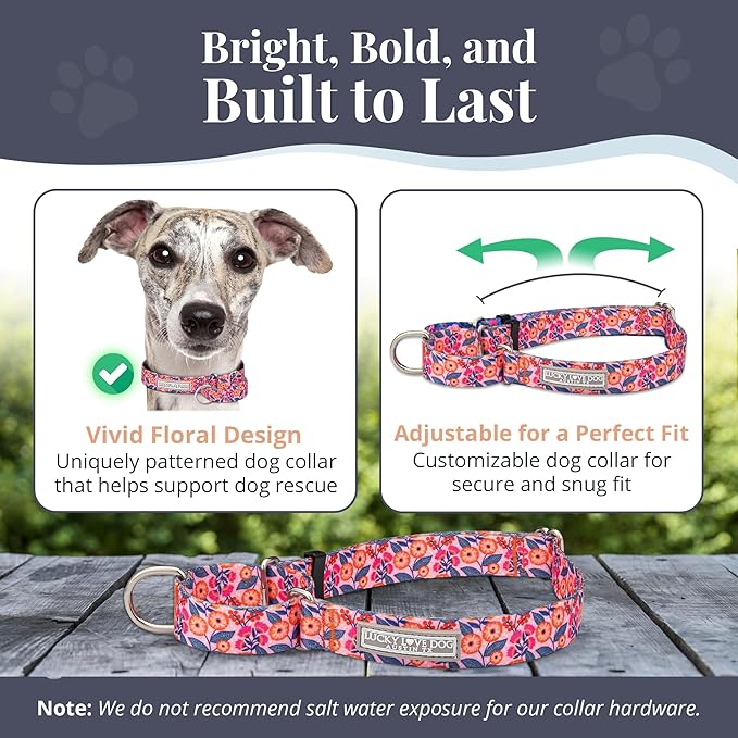 Lucky Love Dog Martingale Dog Collar - Adjustable, No-Slip, Durable, & Soft Webbing Collar for Male and Female Dogs Ideal for Training & Walking - Rosie, Large