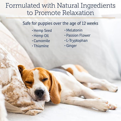 Rx Vitamins NutriCalm - Calming Care for Dogs with Valerian Root, Tryptophan, & Ashwagandha - Aids in Separation Anxiety Relief for Dogs and Stress Relief - Road Trip Essentials & Relaxant - 50ct