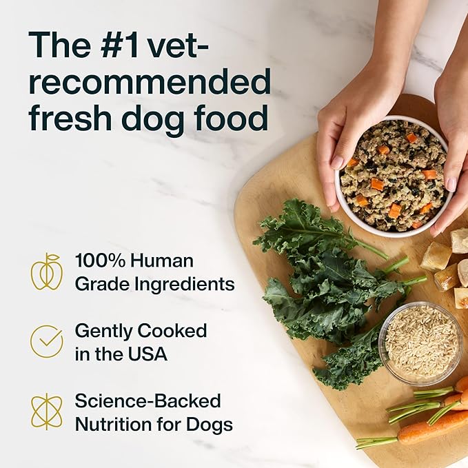 JustFoodForDogs JustFresh Wet Dog Food, Fresh Pet Meals and Toppers with No Preservatives, Resealable Package, Human Grade, Home-Cooked Turkey, 12 oz - 7 Pack