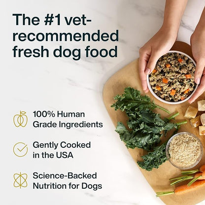 JustFoodForDogs JustFresh Wet Dog Food, Fresh Pet Meals and Toppers with No Preservatives, Resealable Package, Human Grade, Home-Cooked Turkey, 12 oz - 7 Pack