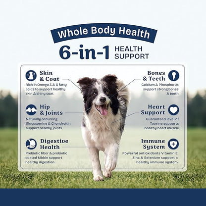Natural Balance Health Protection Dry Dog Food – Whole Body Health, Easy on Digestion Dog Food Made with Chicken, Brown Rice & Pumpkin for Dogs - 24lbs.