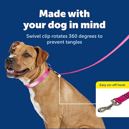 PetSafe Nylon Leash - Helps Maintain Secure Connection on Walks - Durable Pet Leash with Easy Clip - 3/4 in. x 6 ft. - Deep Purple