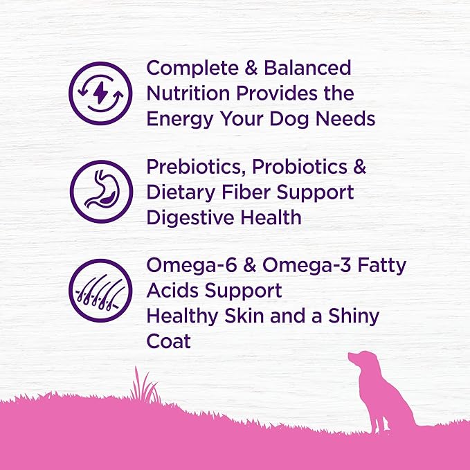 Wellness Complete Health Toy Breed Adult Dry Dog Food, Wholesome Grain Kibble, Natural, Chicken, Brown Rice, and Peas Recipe, 4 lb Bag