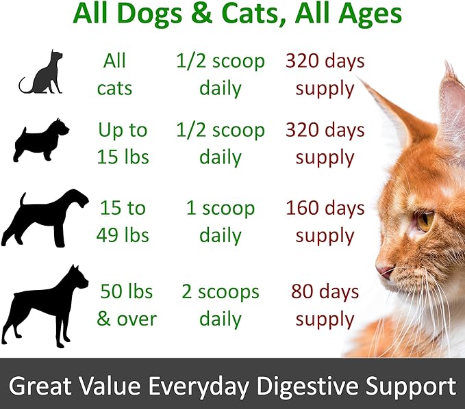 TummyWorks Probiotics for Dogs and Cats. 160 Scoops Probiotic Powder for Digestive Health, Gut, Immunity, Energy, Skin & Coat. 10 Strains, 5 Billion CFUs with 6 Enzymes & Prebiotics. Made in USA.