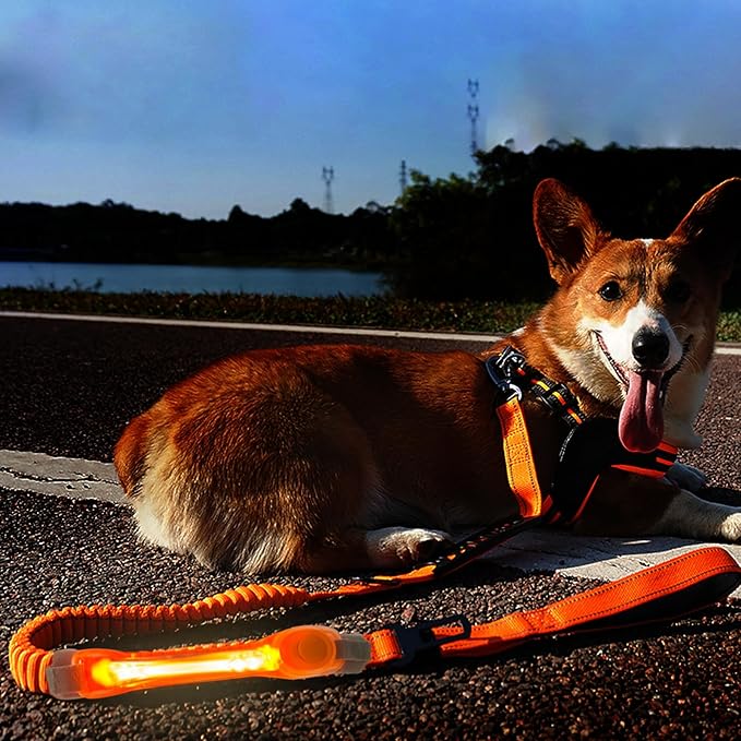2 Pack LED Light for Dog Leash Harness, Light Up Dog Collar with Nylon Stickers, Waterproof Glow Light Easy to Attach to Collar Leash and Harness, Safety LED Light Up Band for Dogs at Night Walking
