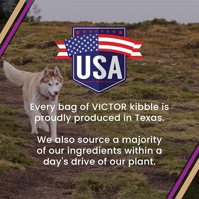 VICTOR Super Premium Dog Food – Professional Dry Dog Food – Super Premium Kibble with 26% Protein – Gluten-Free with Beef, Chicken & Pork Meals – for High Energy and Active Dogs & Puppies, 15lbs