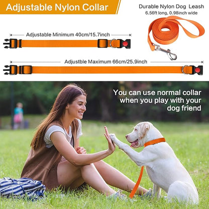 Classic Pets Dog Choke Pinch Collar with Nylon Comfort Tips and Quick Release Snap Buckle