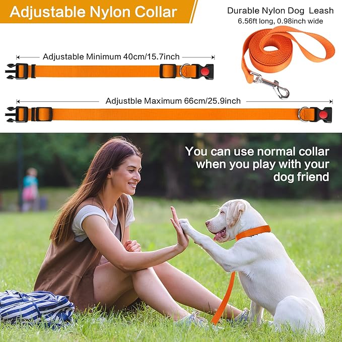 Prong Training Collar With Nylon Cover Comfort Tips, Quick Release Snap Buckle, Classic Collar and Leash