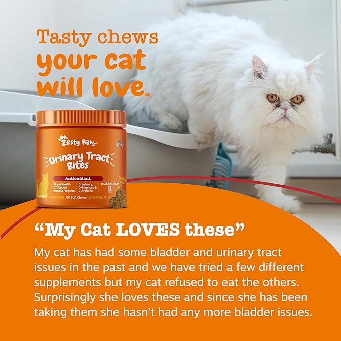 Zesty Paws Cranberry Urinary Tract Bites for Cats - Kidney & Urinary Tract Health - Soft Chews with D-Mannose, Vitamin B6 & L-Arginine - Immune & Gut Support - Bacon - 60 Count