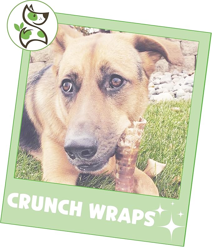 Nature Gnaws Beef Trachea Crunch Wraps for Dogs, 3 Count, Pack of 4 | Long Lasting | Natural Beef Jerky | Rawhide Free | Dog Chew Bones
