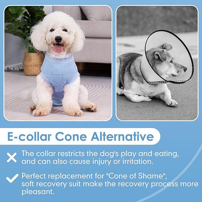 cyeollo 2pack Surgery Recovery Suit for Dogs Cats Soft Breathable Female Male Pet Bodysuit After Surgery for Spay, Neuter, Surgical Recovery Onesie Shirt for Medium Large Dogs, Blue & Grey, XL