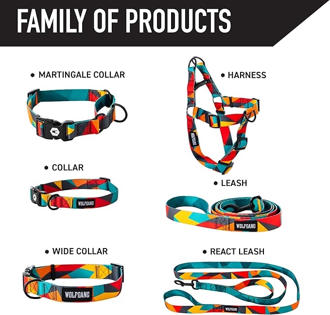 Wolfgang Heavy Duty Martingale Dog Collar with Quick Release Nylon Buckle for Walking & Training, ShatterShapes Print, Medium