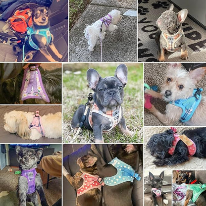 BEAUTYZOO Step in Dog Harness and Leash Set, Floral Pattern Reflective No Pull No Choke Puppy Harness for Small Medium Large Dogs Cats, Soft Padded Mesh Vest Harnesses for Girl and Boy Pets