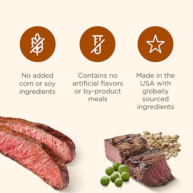 Nutrish Soup Bones Premium Dog Chews with Real Beef and Barley, 6 Chews (Rachael Ray)